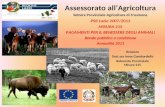 Assessorato allAgricoltura PSR Lazio 2007/2013 MISURA 215 PAGAMENTI PER IL BENESSERE DEGLI ANIMALI Bando pubblico a condizione Annualità 2011 Settore Provinciale.