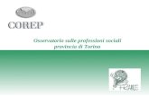 Osservatorio sulle professioni sociali provincia di Torino.