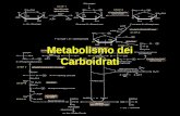 Metabolismo dei Carboidrati. Glicogeno Via dei pentosi fosfati glicolisi Gliconeogenesi (via anabolica) (riserva energetica nel fegato e muscoli) Ossidazione.