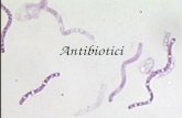 Antibiotici. Microrganismi produttori Funghi Batteri.