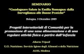 SEMINARIO Guadagnare Salute in Emilia Romagna: dalla Sorveglianza alle Buone Pratiche Bologna, 3 Dicembre 2009 Progetti intersettoriali di Comunità per.