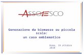 Generazione da biomasse su piccola scala: un caso emblematico Roma, 19 ottobre 2010.