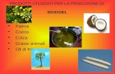 PRODOTTI UTLIZZATI PER LA PRODUZIONE DI: BIODISEL Palma Cocco Colza Grassi animali Oli di frittura.