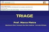 TRIAGE Dipartimento Clinico Veterinario Alma Mater Studiorum - Università di Bologna Prof. Marco Pietra Corso di aggiornamento PRIMO SOCCORSO VETERINARIO.