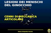 Clinica Ortopedica Ferrara LESIONI DEI MENISCHI DEL GINOCCHIO CENNI DI MECCANICA ARTICOLARE.