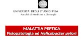 MALATTIA PEPTICA Fisiopatologia ed Helicobacter pylori MALATTIA PEPTICA Fisiopatologia ed Helicobacter pylori UNIVERSITA DEGLI STUDI DI PISA Facoltà di.