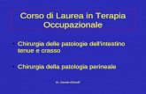 Corso di Laurea in Terapia Occupazionale Chirurgia delle patologie dell'intestino tenue e crasso Chirurgia della patologia perineale Dr. Davide Ghinolfi.