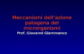 Meccanismi dellazione patogena dei microrganismi Prof. Giovanni Giammanco.