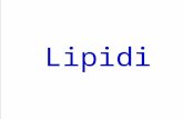 Lipidi. acido grasso glicerolo fosfato acido grasso glicerolo base fosfato acido grasso sfingosina base sfingolipidi monogliceridi digliceridi trigliceridi.