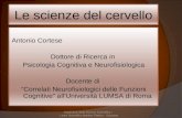 Le scienze del cervello Antonio Cortese Dottore di Ricerca in Psicologia Cognitiva e Neurofisiologica Docente di Correlati Neurofisiologici delle Funzioni.