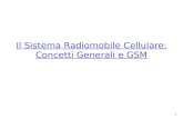 1 Il Sistema Radiomobile Cellulare: Concetti Generali e GSM.