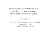 Schema di chemioterapia da associare a trastuzumab e valutazione della risposta Laura Biganzoli U.O. Oncologia Medica Sandro Pitigliani Ospedale di Prato.