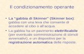 Il condizionamento operante La gabbia di Skinner (Skinner box): gabbia con una leva che consente di accedere al cibo o allacqua. La gabbia ha un pavimento.