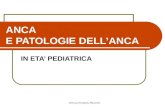 Dott.ssa Elisabetta Muccioli ANCA E PATOLOGIE DELLANCA IN ETA PEDIATRICA.