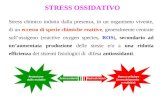 STRESS OSSIDATIVO Stress chimico indotto dalla presenza, in un organismo vivente, di un eccesso di specie chimiche reattive, generalmente centrate sullossigeno.
