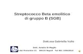 Streptococco Beta emolitico di gruppo B (SGB) Dott.ssa Gabriella Vullo Dott. Aniello Di Meglio Dott. Aniello Di Meglio Via dei Fiorentini 21 80133 Napoli.