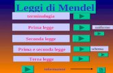 1 Leggi di Mendel informazioni terminologia Prima legge Seconda legge Prima e seconda legge Terza legge schema uniforme.