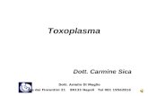 Toxoplasma Dott. Carmine Sica Dott. Aniello Di Meglio Dott. Aniello Di Meglio Via dei Fiorentini 21 80133 Napoli Tel 081 19562816.