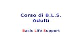 Corso di B.L.S. Adulti Basic Life Support. Corso B.L.S. esecutore Lezioni teoriche Addestramento pratico su manichino Valutazione finale con skill test.