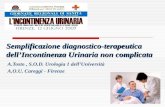 Semplificazione diagnostico-terapeutica dellIncontinenza Urinaria non complicata A.Tosto, S.O.D. Urologia 1 dellUniversità A.O.U. Careggi - Firenze.