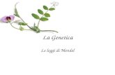 La Genetica Le leggi di Mendel. Il monaco Gregor Mendel (1822-1884) fu il primo a studiare in modo rigoroso il fenomeno della trasmissione dei caratteri.