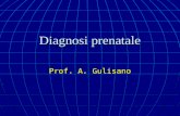 Diagnosi prenatale Prof. A. Gulisano. CONSULTAZIONE GENETICA Diagnosi prenatale.
