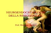NEUROENDOCRINOLOGIA DELLA RIPRODUZIONE Prof. Maurizio Marletta.
