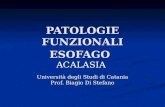PATOLOGIE FUNZIONALI ESOFAGO ACALASIA Università degli Studi di Catania Prof. Biagio Di Stefano.