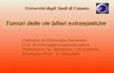 Università degli Studi di Catania Tumori delle vie biliari extraepatiche Cattedra di Chirurgia Generale U.O. di Chirurgia Laparoscopica Policlinico G.