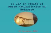 La IIA in visita al Museo naturalistico di Belpasso 22 Novembre 2012.
