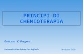 PRINCIPI DI CHEMIOTERAPIA Dott.ssa V. Gregorc Università Vita-Salute San Raffaele 14 ottobre 2009.