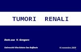 1 TUMORI RENALI Dott.ssa V. Gregorc Università Vita-Salute San Raffaele 16 novembre 2009.