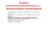 Fare clic per modificare lo stile del sottotitolo dello schema Esame emocromocitometrico e… terminologia ematologica Il volume del sangue ( volemia) 7.