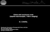 Clinica del carcinoma orale (aspetti macroscopici, TNM e staging) G. Colella, Dipartimento Universitario di Patologia della Testa e del Collo. (Dir. Prof: