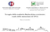 Azienda Ospedaliera S. Maria di Terni S.C. Oncoematologia-autotrapianto, Direttore Prof. A.M. Liberati Terapia della malattia fludarabina-resistente: ruolo.