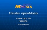 Cluster openMosix Linux Day 04 Caserta Ing. Diego Bovenzi