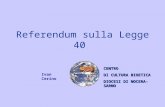 Referendum sulla Legge 40 CENTRO DI CULTURA BIOETICA DIOCESI DI NOCERA-SARNO Ivan Cerino.