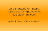 La campagna di Trisaia: stato della preparazione, problemi, obiettivi Alcide di Sarra - ENEA Casaccia.