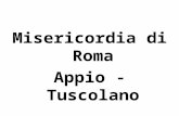 Misericordia di Roma Appio - Tuscolano. Maxi-emergenza.