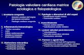 Patologia valvolare cardiaca matrice eziologica e fisiopatologica I. Ereditaria-congenita Disordini ereditari dellorigine del tessuto connettivo Patologia.
