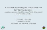 Lassistenza oncologica domiciliare nel territorio aquilano: assetto organizzativo, bilancio dellattività e aspetti terapeutici innovativi Giovanna Micolucci.