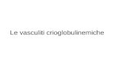 Le vasculiti crioglobulinemiche. CASO CLINICO Pz di sesso femminile, età 61 anni, 4 figli, vino in modiche quantità fino al 2000. Visitata nel marzo.