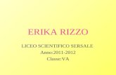ERIKA RIZZO LICEO SCIENTIFICO SERSALE Anno:2011-2012 Classe:VA.