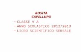 CLASSE V A ANNO SCOLASTICO 2012/2013 LICEO SCIENTIFICO SERSALE ROSITA CAPELLUPO.