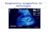 Diagnostica ecografica in nefrologia Dr. Carlo Massara.