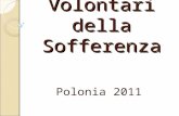 Centro Volontari della Sofferenza Polonia 2011. In Polonia ci sono 5 diocesi che fanno parte della Confederazione CVS Internazionale.