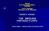 ASL BA P.O. Don Tonino Bello –Molfetta U.O.C. Urologia Direttore : Dr M. Altomare AUrO.it Puglia – Martina Franca 15 dicembre 2012 TUR BIPOLARE VANTAGGI.