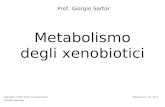 Metabolismo degli xenobiotici Prof. Giorgio Sartor Copyright © 2001-2012 by Giorgio Sartor. All rights reserved. Versione 3.3 – oct 2012.