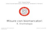 Misure con biomarcatori II. Enzimologia Prof. Giorgio Sartor Corso di Laurea Specialistica in Scienze per lAmbiente e il Territorio Copyright © 2001-2006.