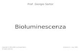 Bioluminescenza Prof. Giorgio Sartor Copyright © 2001-2009 by Giorgio Sartor. All rights reserved. Versione 0.2 – may 2009.